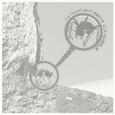 apollo's ant